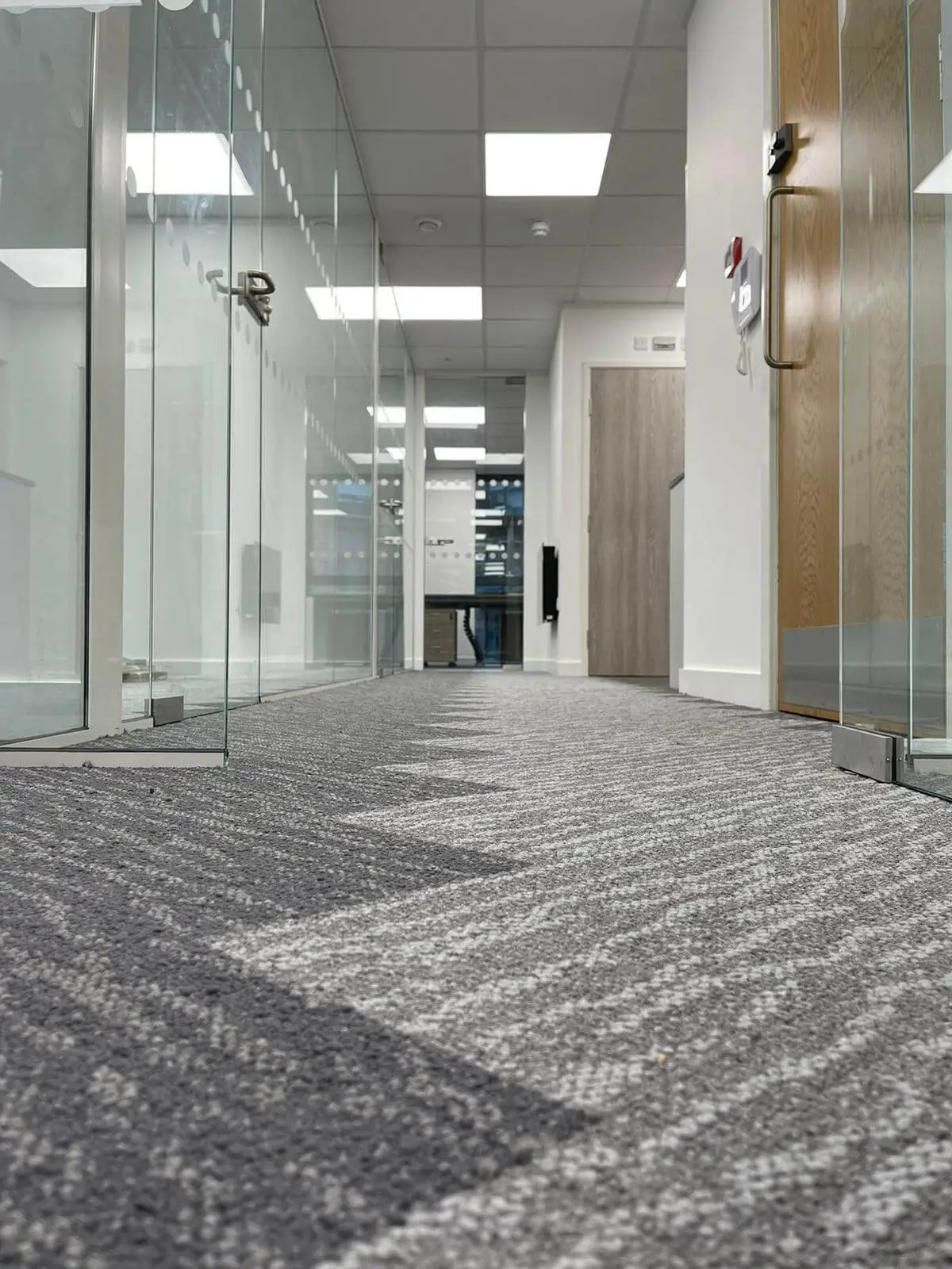 Designer floor in office with frameless glass partitions