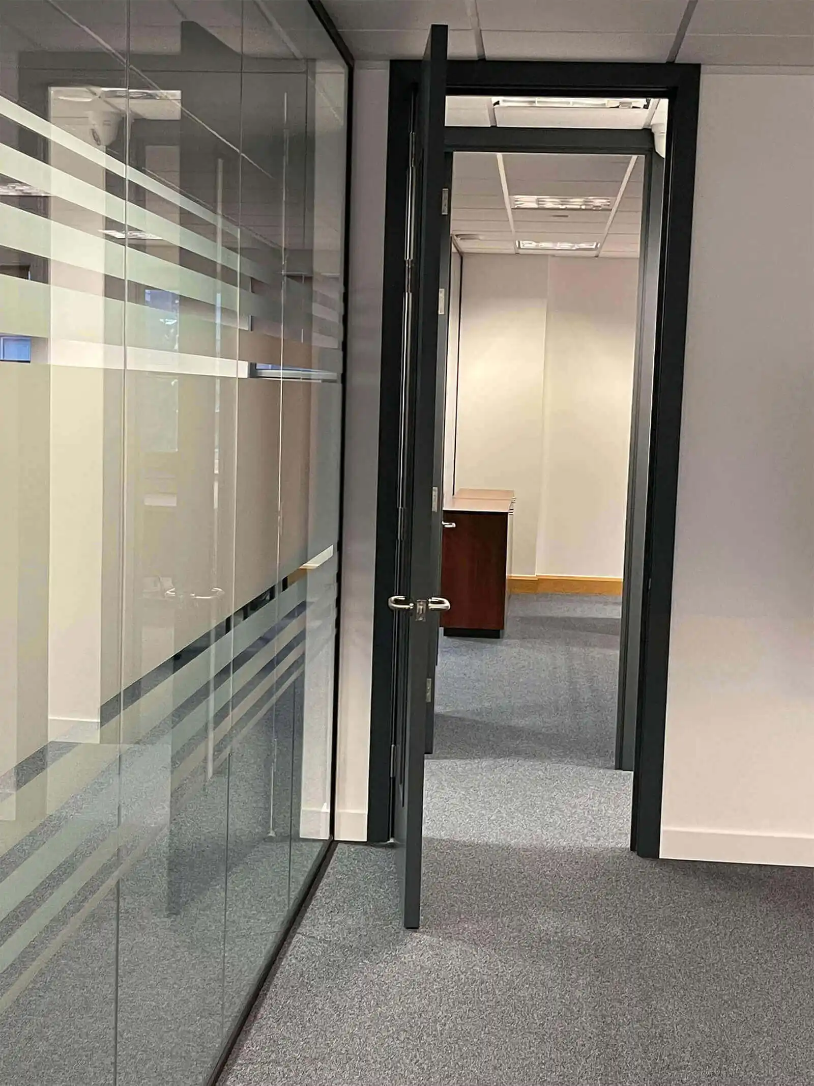 Glass doors with manifestations and solid door