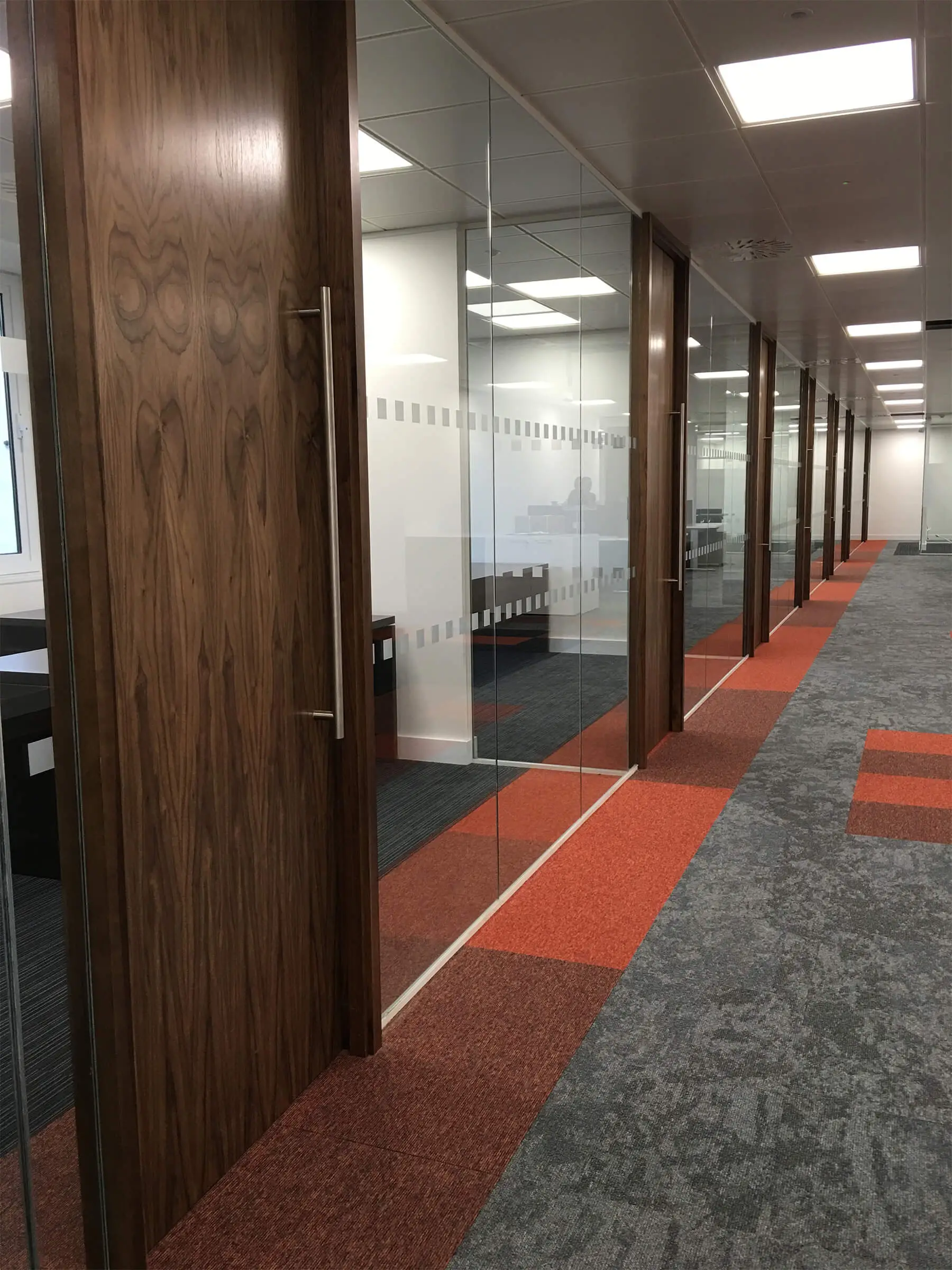 Designer floor office with single glaze partitions with solid doors